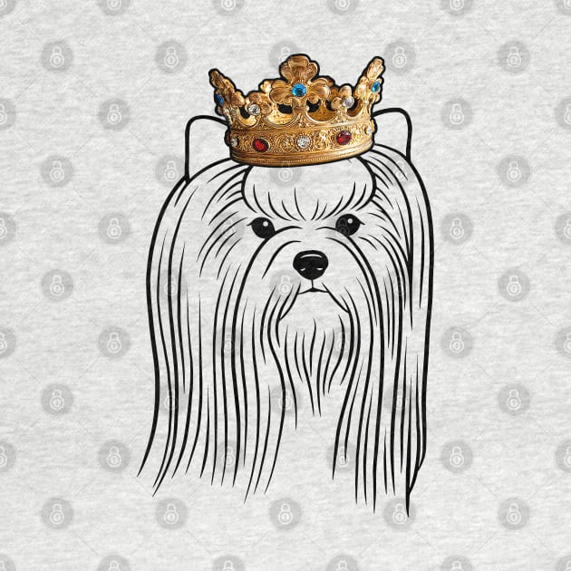 Biewer Terrier Dog King Queen Wearing Crown by millersye